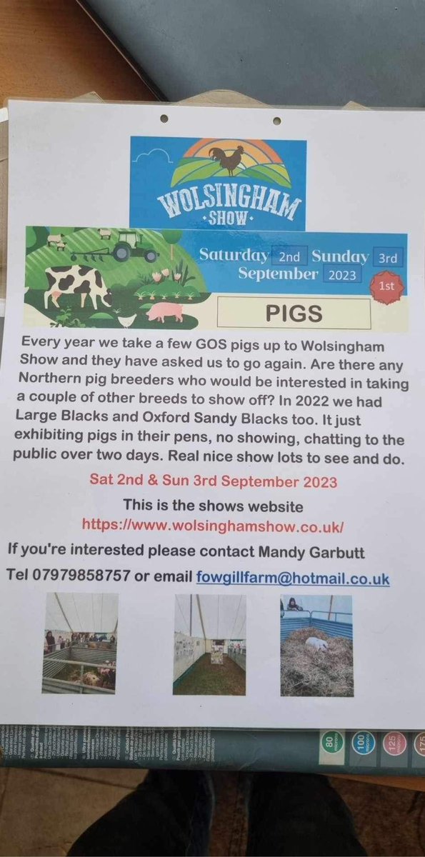 Anyone interested in exhibiting pigs at our show please contact Mandy