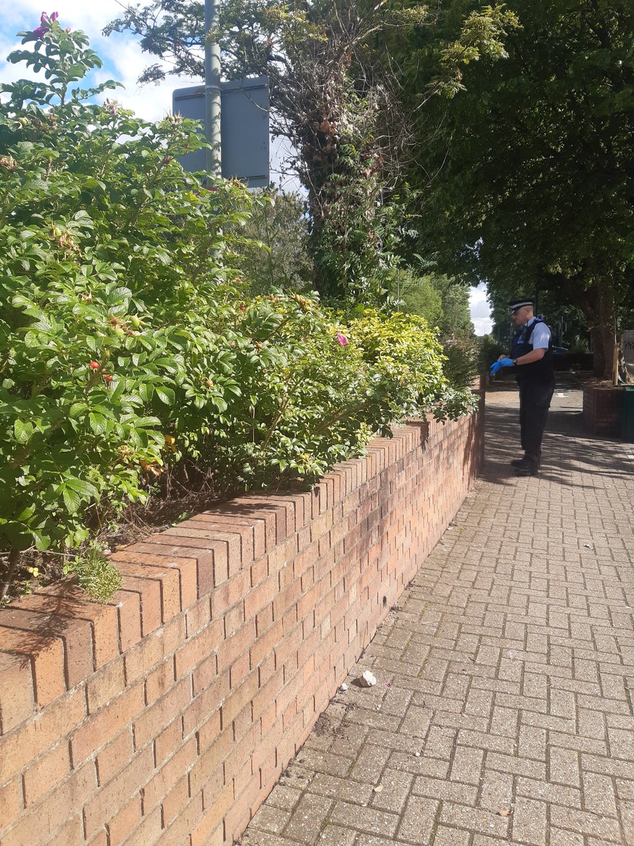 St Mary Cray tweet media