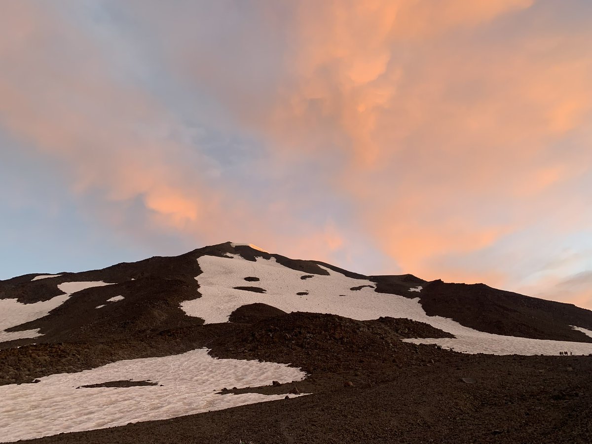 Juliette Wohlschlegel tweet media