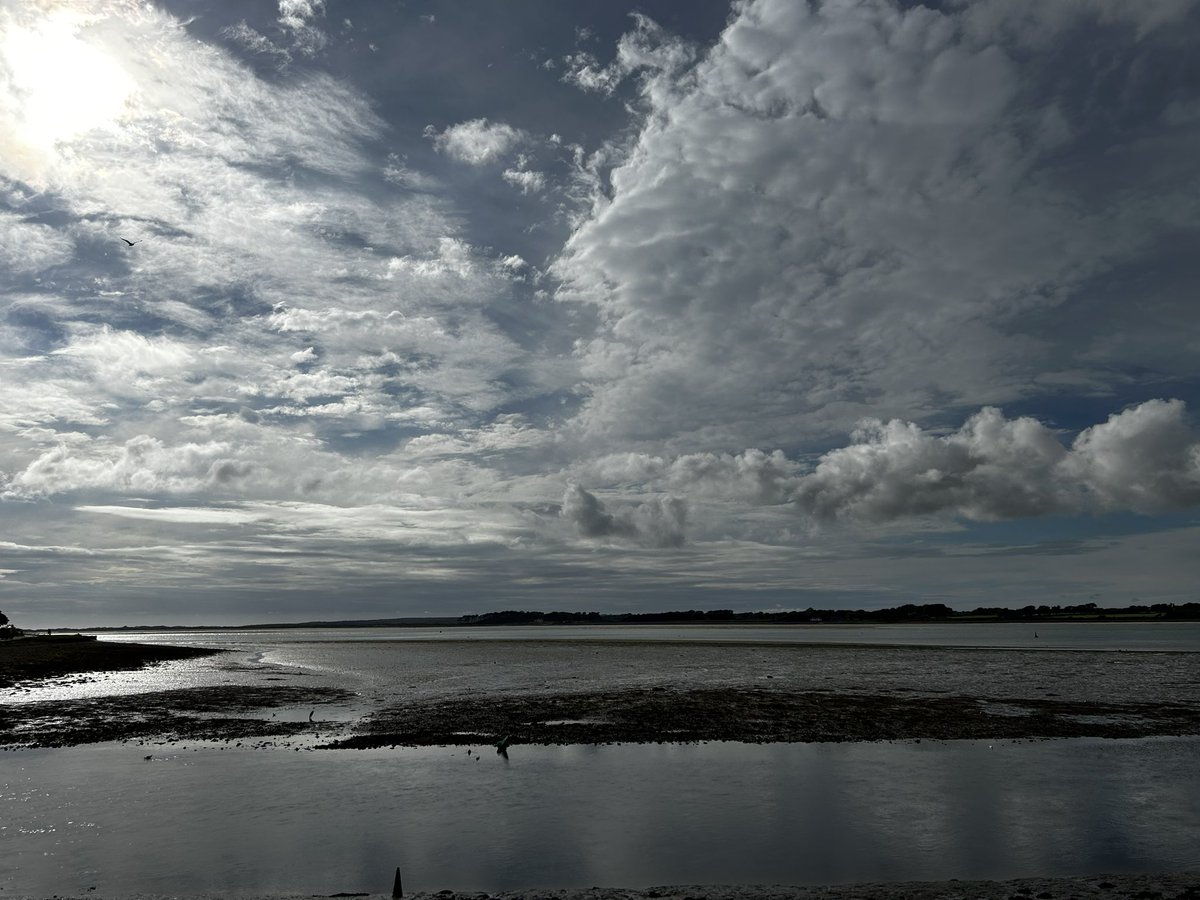 Fiona May tweet media