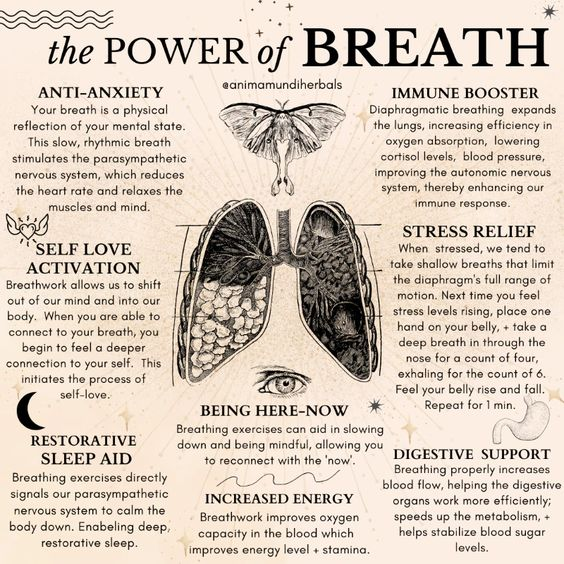 kathrynwise6869's tweet photo. @VincentCrypt46 "Breath is the bridge which connects life to consciousness, which unites your body to your thoughts. Whenever your mind becomes scattered, use your breath as the means to take hold of your mind again."
~ Thich Nhat Hanh

#MakeEveryBreathCount https://t.co/pdBhSfeHnJ