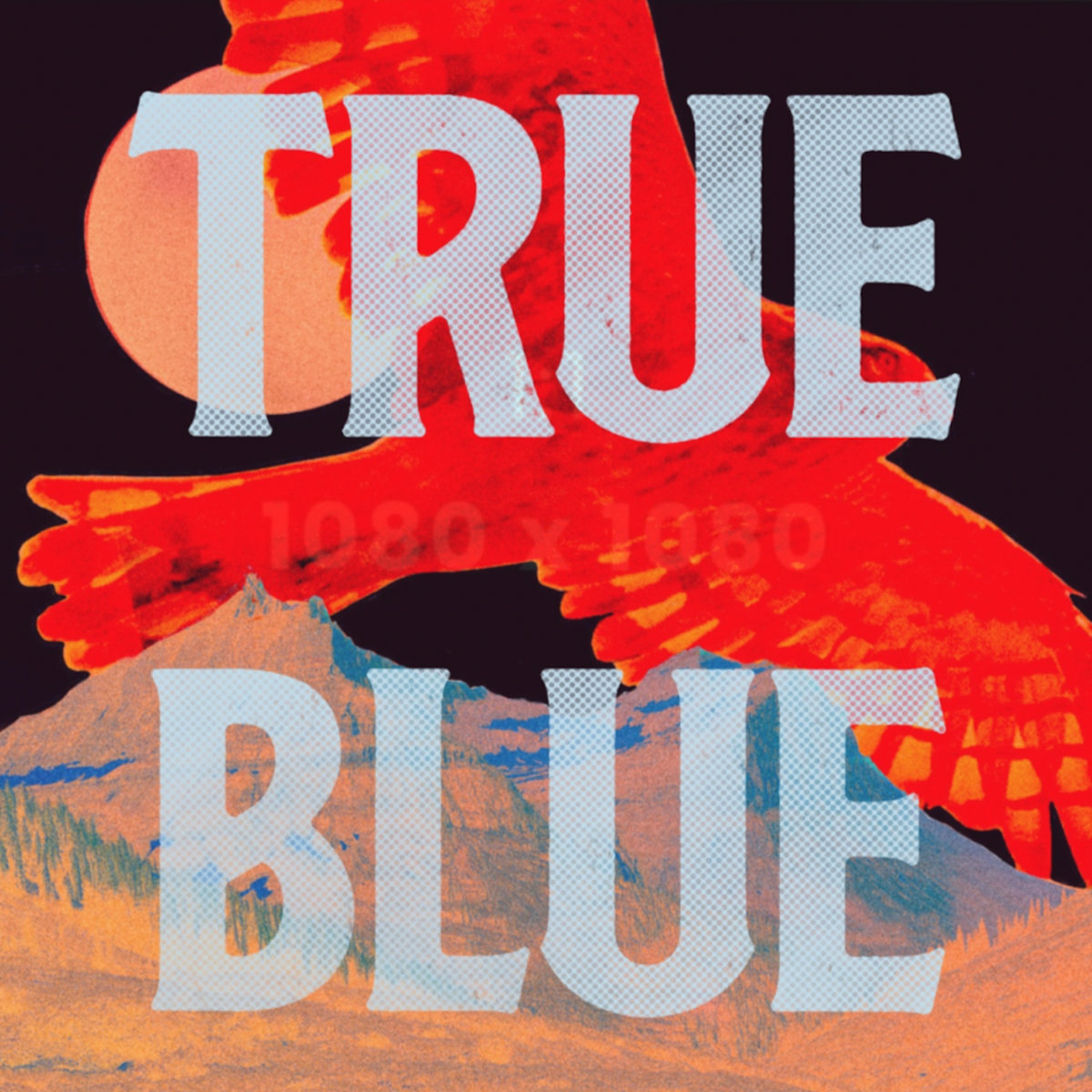 🚨 NEW MUSIC 🚨 
Our latest single "True Blue" is out everywhere today. Listen, like, share &amp; add it to your favourite playlists
open.spotify.com/album/2owKgHQs…