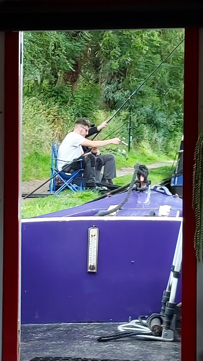 𝔻𝕒𝕧𝕚𝕕 𝔹𝕣𝕒𝕞𝕝𝕖𝕪 𝐧𝐛 𝐒𝐧𝐨𝐰𝐠𝐨𝐨𝐬𝐞 tweet media