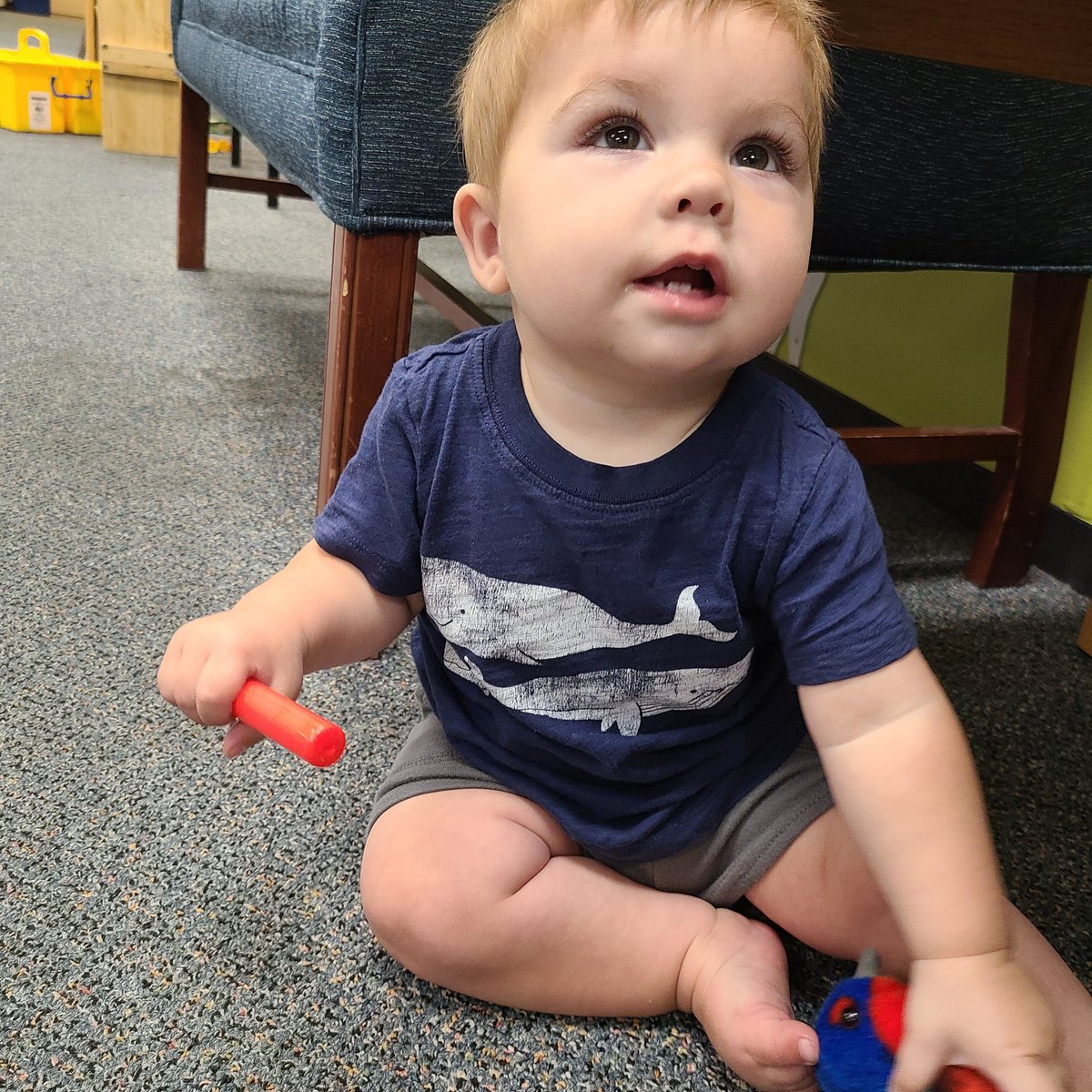 A whale shirt in honor of Herman Melville's birthday! #MobyDick #MoodyGoodCaptain