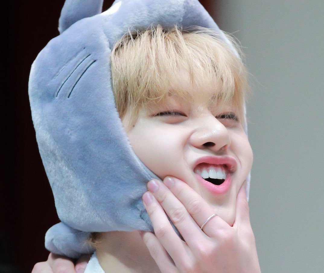 matthew_528___'s tweet photo. 모든 고앵이를 다 닮은 🐱 https://t.co/7TrBd5r3yA