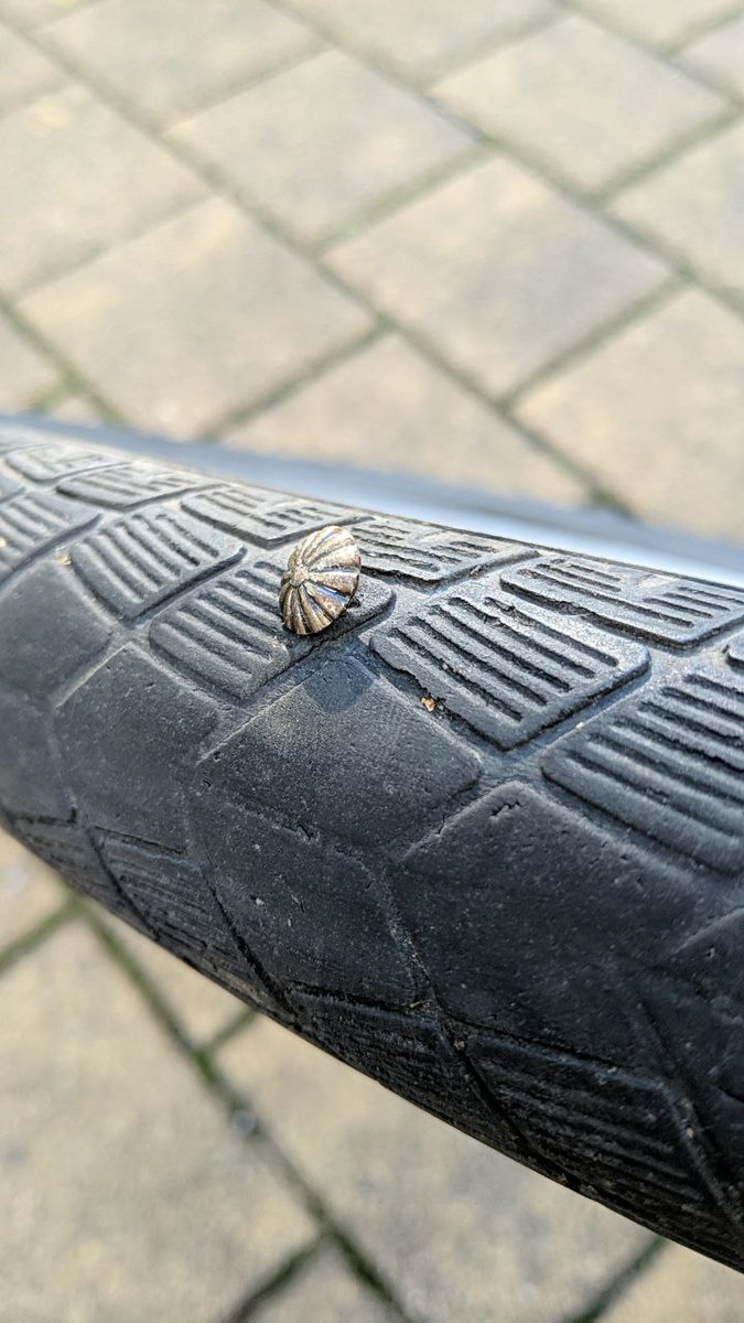 Achtung auf dem #Elberadweg in #Dresden! Zwischen Fährgarten Johannstadt und Laubegast liegen Reisszwecken auf der Fahrbahn.
Wenn du welche entdeckst: Bitte gleich einsammeln!