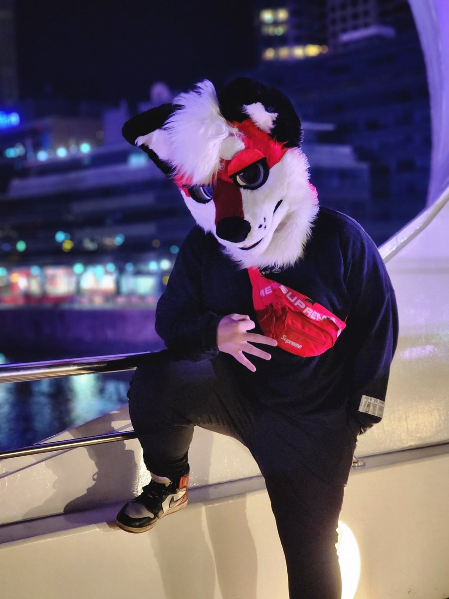 dustNowhere's tweet photo. "They taught themselves to be occult, They didn't know its many strategies." 🌆

📸 @/TeraTheFox
🪡 @/coyotearcade

#fursuit #fursuiter #fox #furry #fursona #photo #argentina https://t.co/givazHeqVP