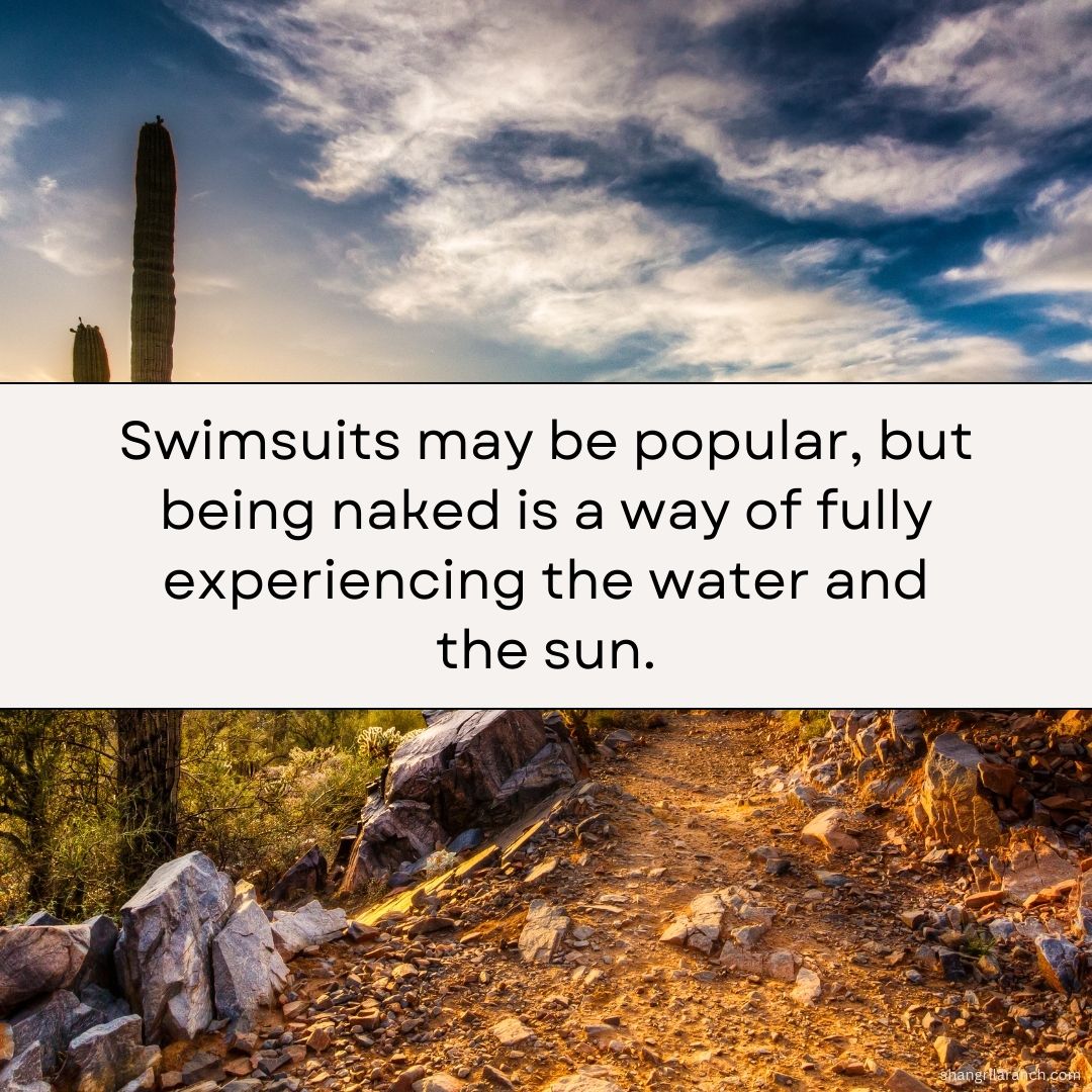 SLRNude's tweet photo. Let go of the trends and dive into a liberating experience! 🌊 Shed your clothes and feel the sun on your skin. Free your mind, body, and spirit with some liberating bare sunbathing. 🧘🏼♀️ #BareYourself #ExploreYourSenses https://t.co/jDtUoMBwUV https://t.co/gc2Rclg8ol