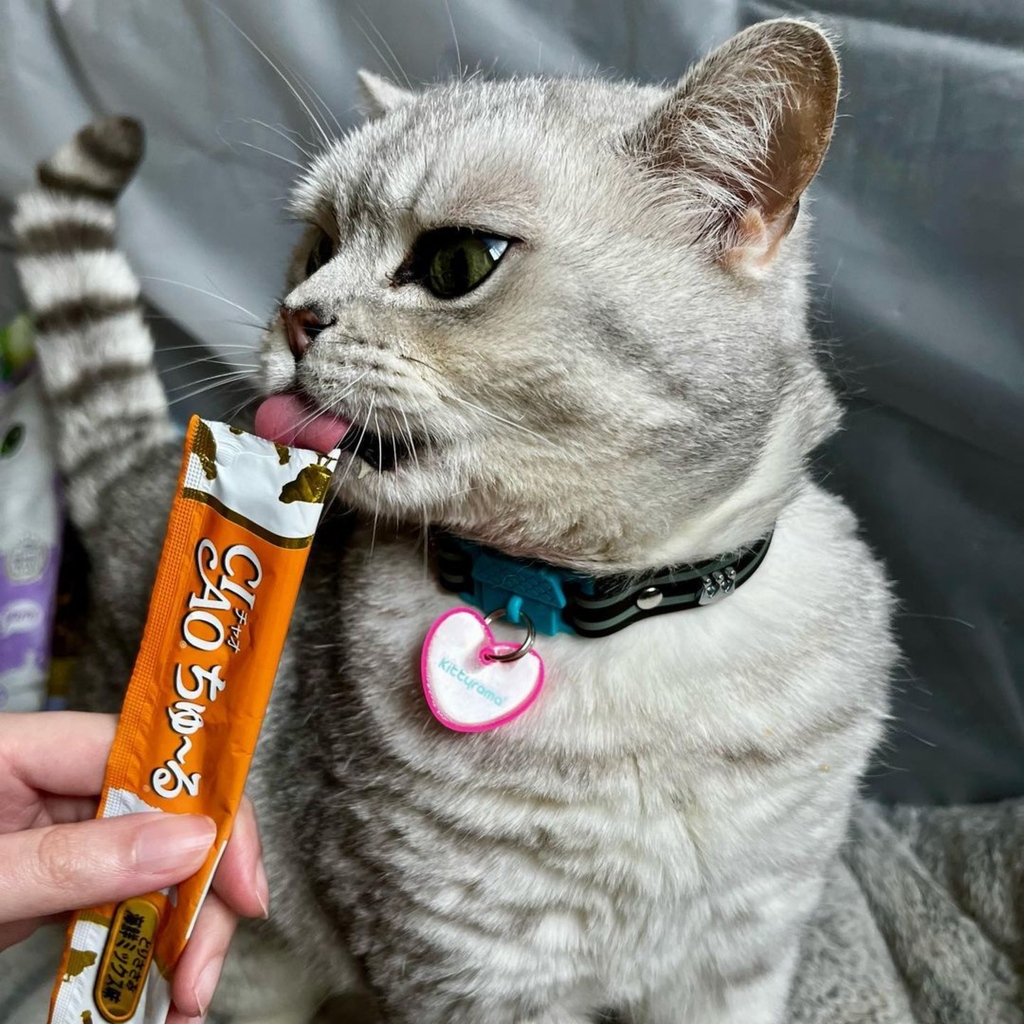 Vespa knows how to rock Tongue-out Tuesday with a touch of bling and a lick-tastic treat!' 😸👅💎
#kittyrama #purrfect #purrfection #purrfectfelines #britishshorthair #britishshorthaircat #britishshorthairkitten #britishshorthairs #britishshorthairworld #britishshorthairlovers