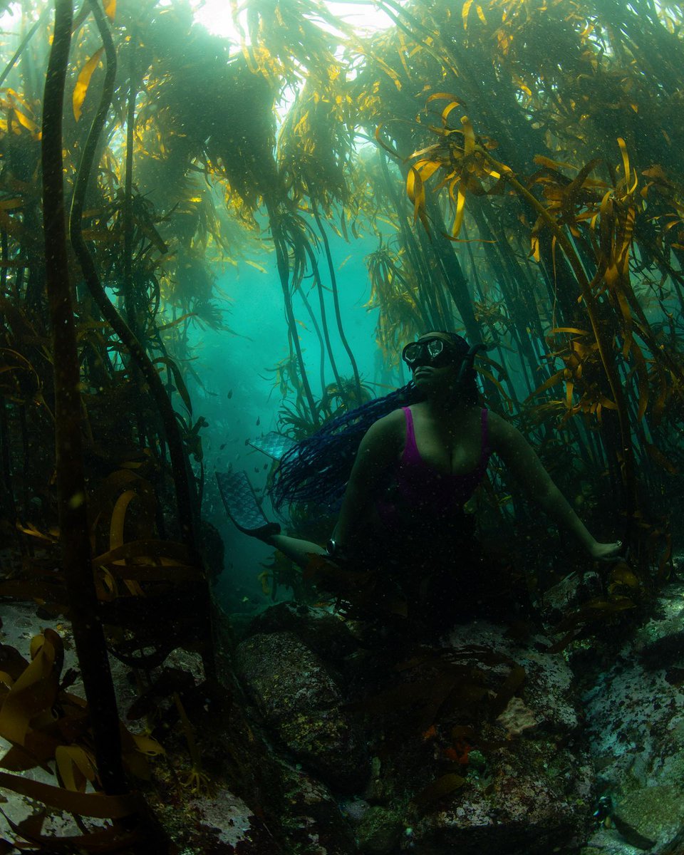 Divers Direct tweet media