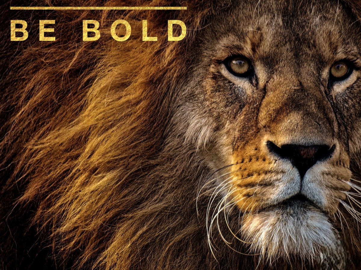 JEET07's tweet image. In this grand month of new beginnings, 
BE BOLD... 
🌟🌟🌟🌟
#BEBOLD
#THINKBOLD
#MOVEBOLD
#August 
#LeoSeason 
#Roar
#Growl
#Purr
#Manyblessings