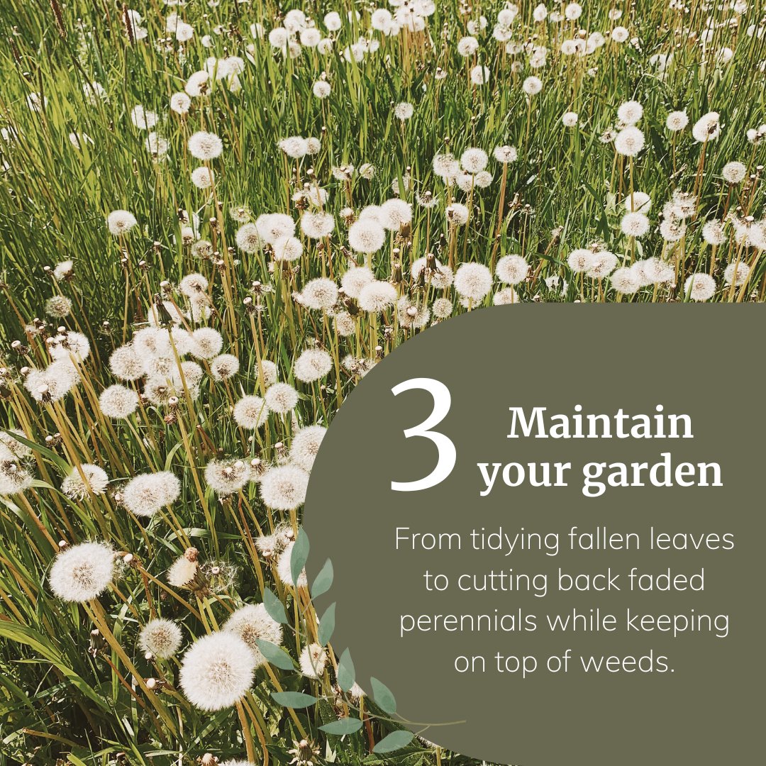 August has a tendency to be a laid back month 😎

It's not yet autumn and most of the summer tasks are done. Preparing for warm weather is key, especially if you're off on summer holidays.

Swipe or read more about August gardening jobs here: bit.ly/3qh8b0Y