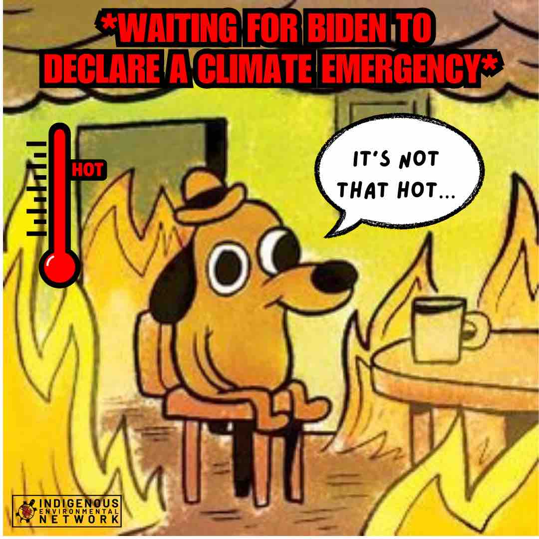 Indigenous Environmental Network tweet media