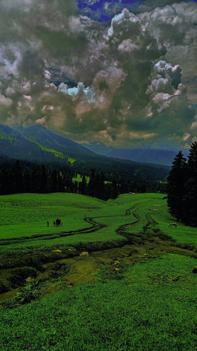 ariftheblogger's tweet photo. Chiranbal kulgam📍
#Explorekulgam
@DrBilalbhatIAS
@JandKTourism
Chiranbal kulgam is a beautiful destination that is known for its scenic beauty It's is located just 6km away from a village manzgam surrounded by lush green forest trees and mountains
Check👇
https://t.co/fiZT8el54Z https://t.co/LNGHvagcu8