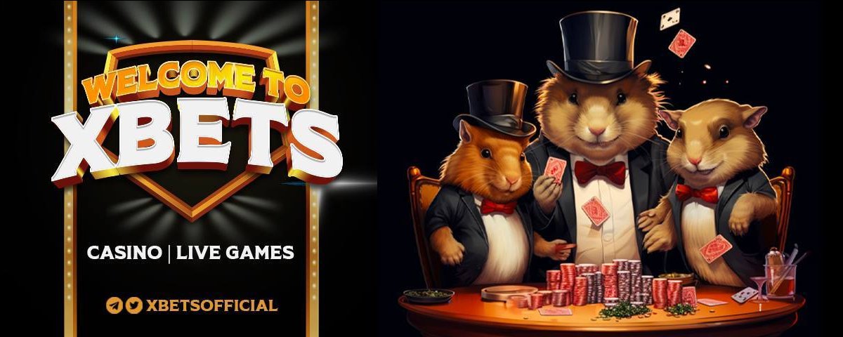 Xbets tweet media