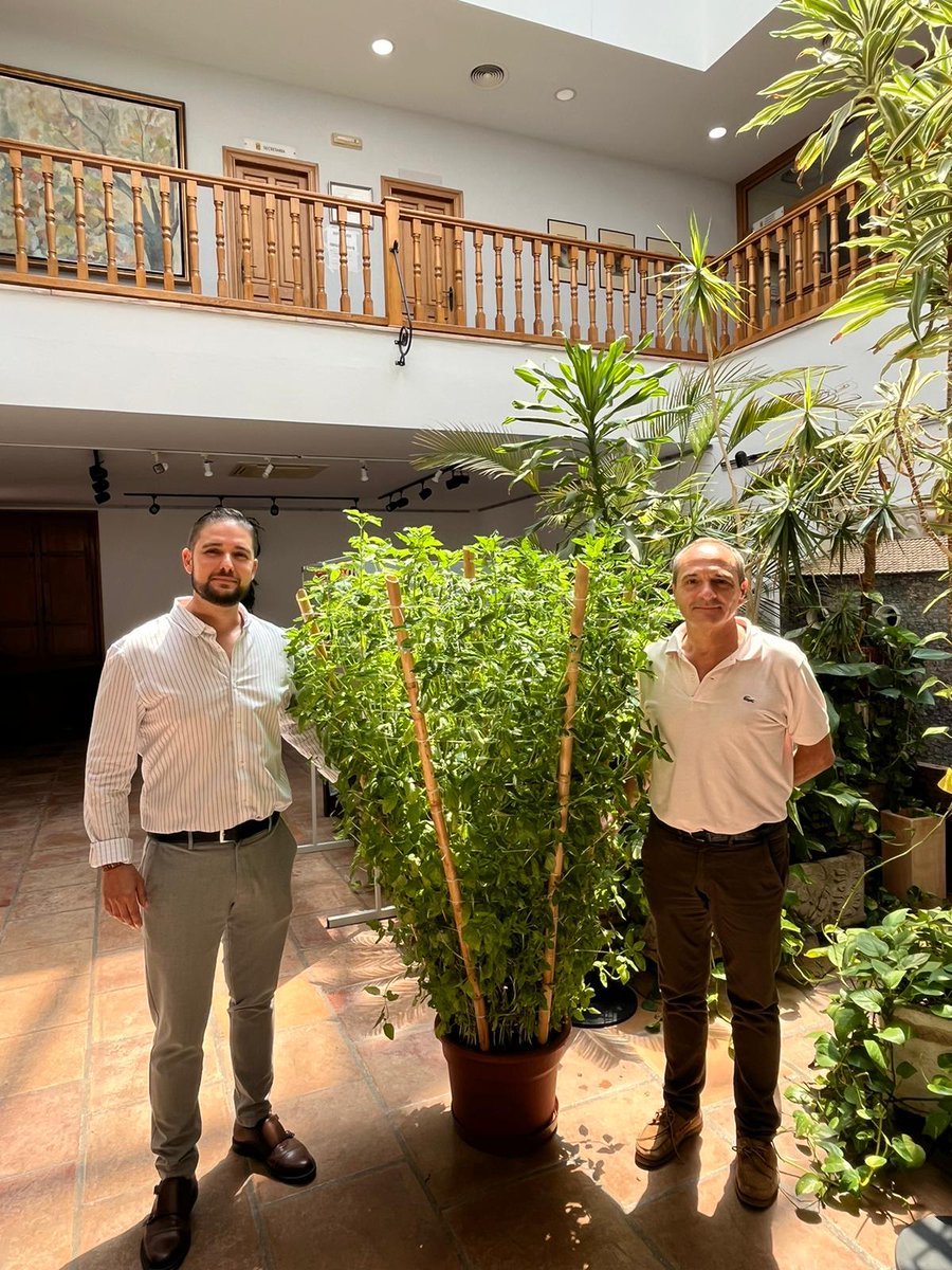 Agradecemos a nuestro pueblo vecino de Bétera la entrega de la tradicional alfábega, símbolo de sus grandes fiestas.
Gracias Elia Verdevio Escribá, la alfábega luce en la entrada de nuestro ayuntamiento.