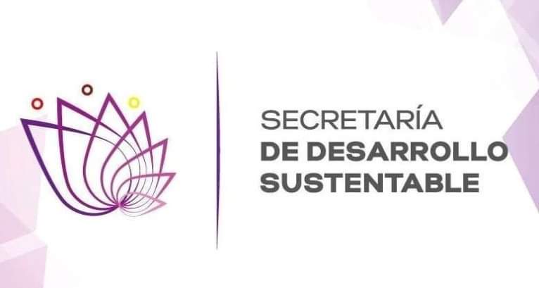 @SDS_Morelos tweet media