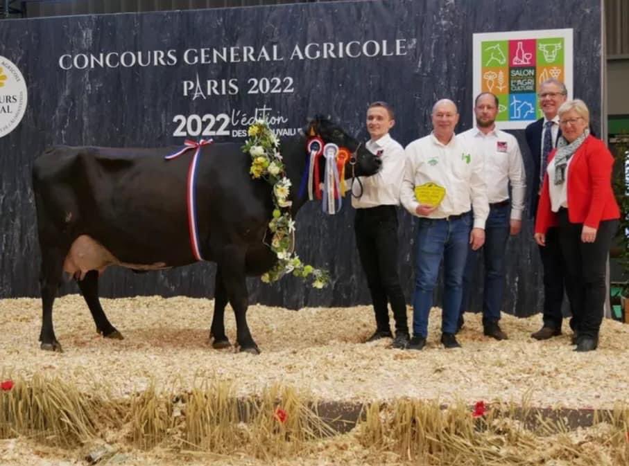 HThiefin's tweet photo. Réponse à l’heure, pour une fois #LaMinuteReproGénétique 😏😂

⁉️Je suis une race qui a une robe unie, je suis la #Flamande ! #FrAgTw

📸 AJL MARGUE, fille de EOLE a remporté le championnat Adulte, elle appartient au Gaec Pruvot dans l'Aisne, coucou @Fairefrance @JLPRUVOT 😎 https://t.co/i1CjW6QIWi
