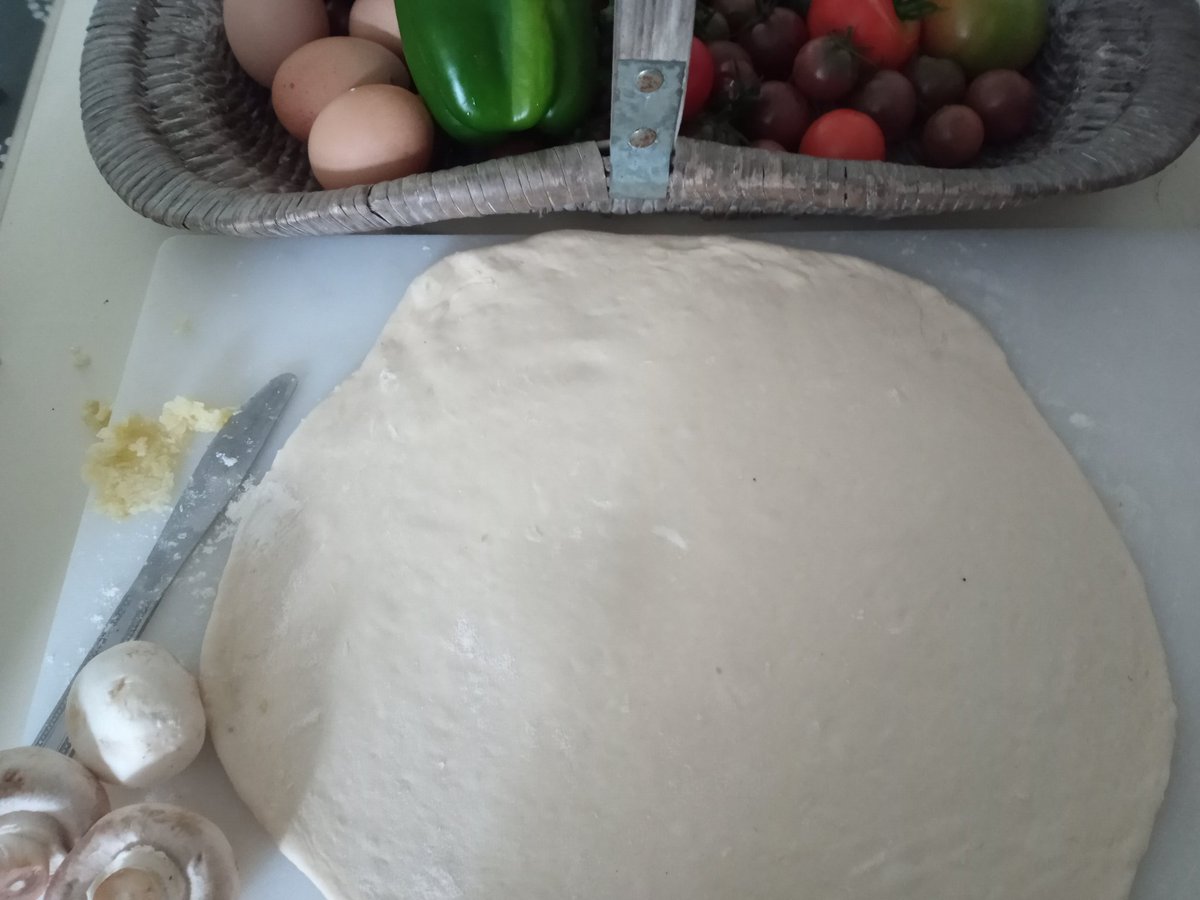 IrelandsPeace's tweet image. I was out picking for pizza night and got distracted on twatter,
I also forgot my tea erbs. 
Can I sue Leo for that too ?
Oh Whatever,
I continue..😒😤😁
#dodig
#garden