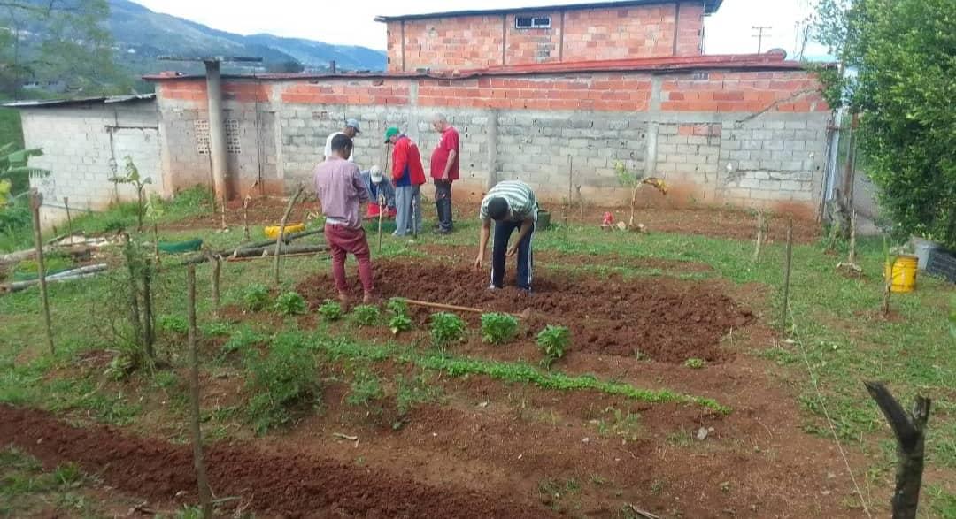 Ciudadanos en atención de la CTS "María del Carmen Ramírez", realizan jornada de limpieza y mantenimiento de la siembra del centro.
#SúperBigoteEnAcción
<a href="/NicolasMaduro/">Nicolás Maduro</a> <a href="/pestana_jl/">José Pestana</a> <a href="/vmsfelicidad/">Viceministerio para la Suprema Felicidad Social</a>