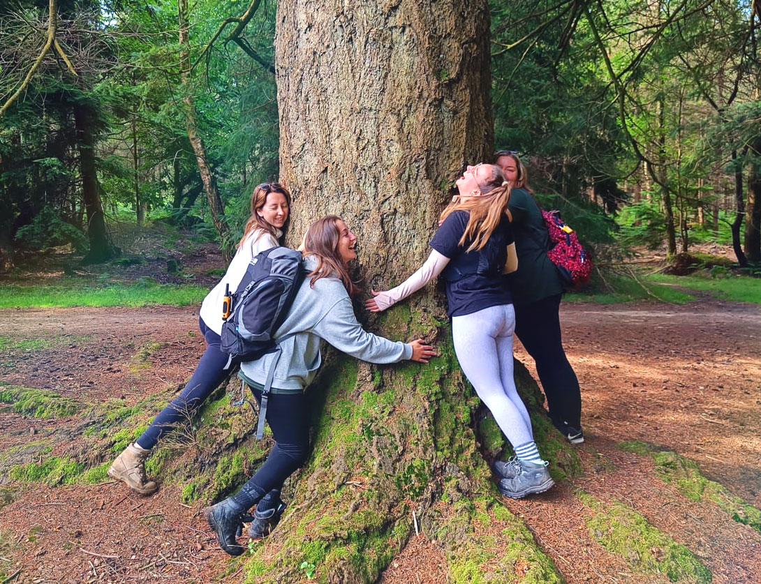 Blue Sky Fostering tweet media