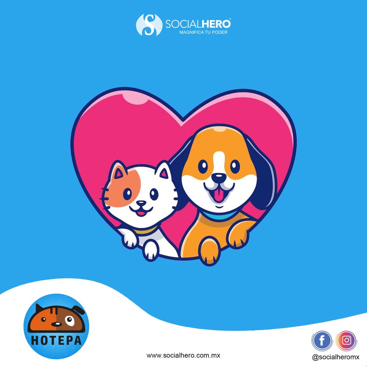 HotepaAdopta's tweet photo. Persiguiendo lo imposible, es como logramos lo posible. Apoya a que nuestro proyecto se haga realidad en: 
https://t.co/uPTfKTSm0Z
.
.
.
#ayudar #shared_joy #valorar #vivefeliz #mentepositiva #pasionxmexico #empatia #generosidad https://t.co/FvncSOr5Ei