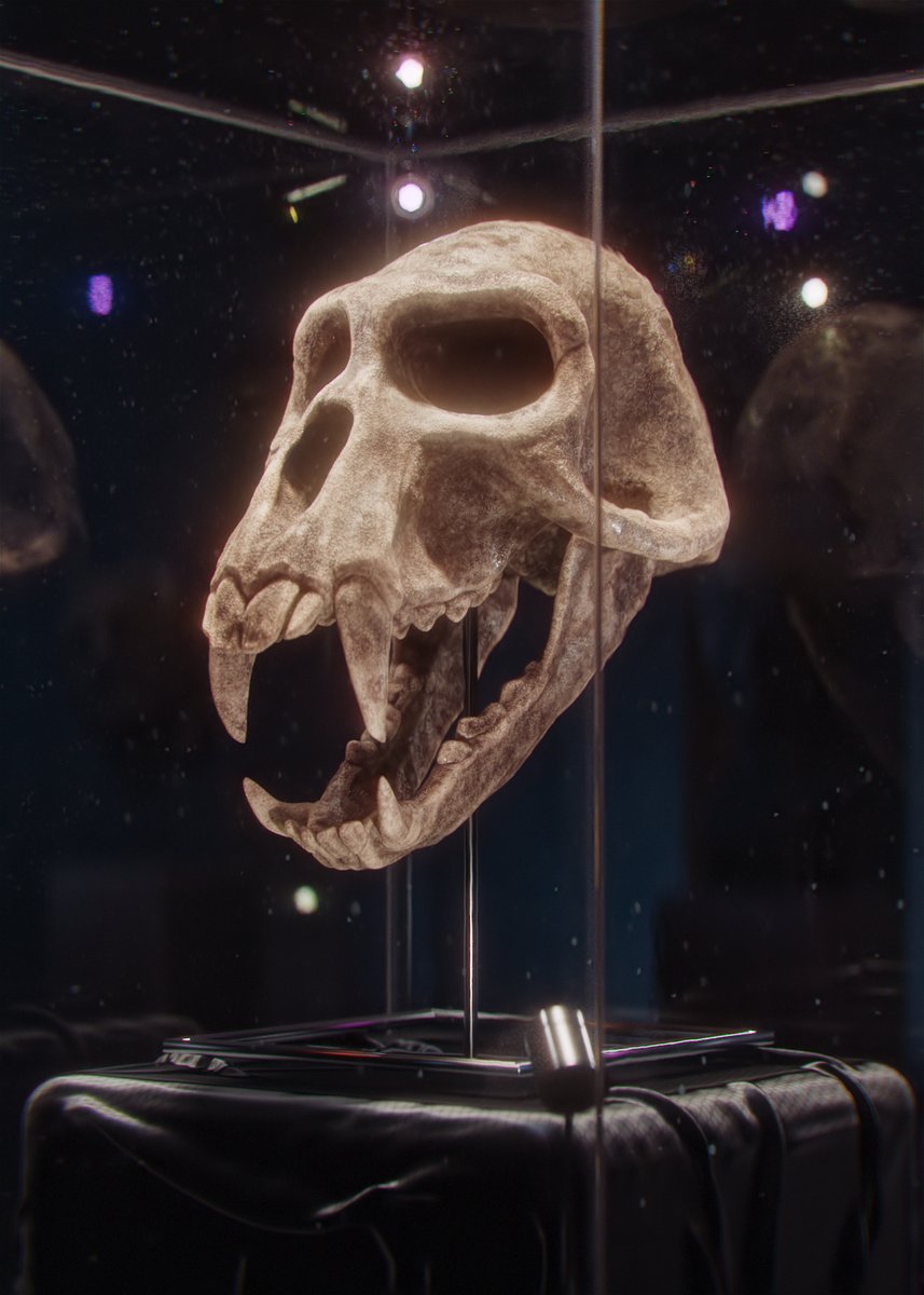 Botched Creative tweet media