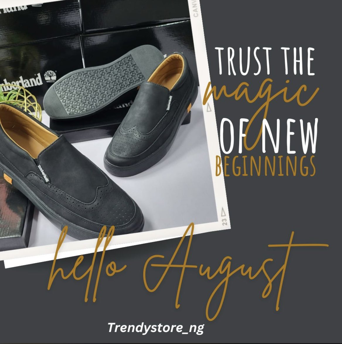 promisval's tweet photo. Welcome to August, a month of all good things 🧡 https://t.co/77SK7pqqJF