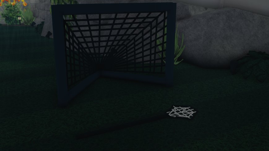 Costom lacrosse net and stick.
Sneak peak of yard ?