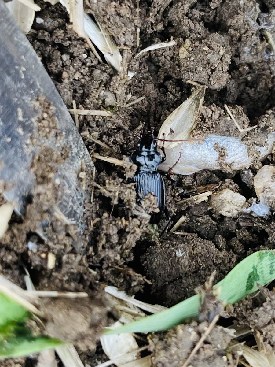 Alastair Trickett tweet media