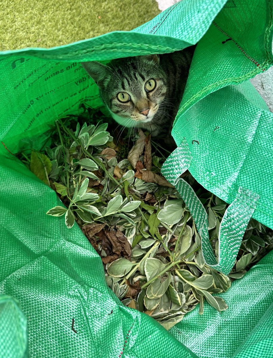 Carla Plymen tweet media