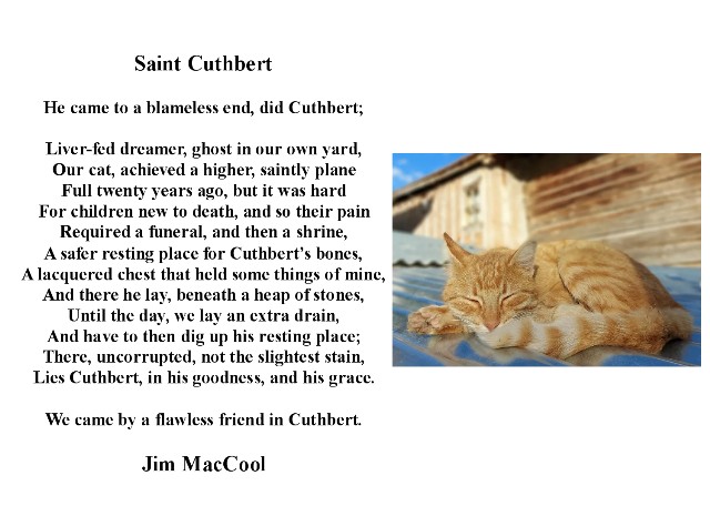 OctPoetryMonth's tweet photo. August the First, - Jim is put in mind of their late cat Cuthbert snoozing on the shed roof in the sunshine. 'Saint Cuthbert'  by Jim MacCool. #cats #August #poetry #verse #saintcuthbert https://t.co/r9FiCiHN0t