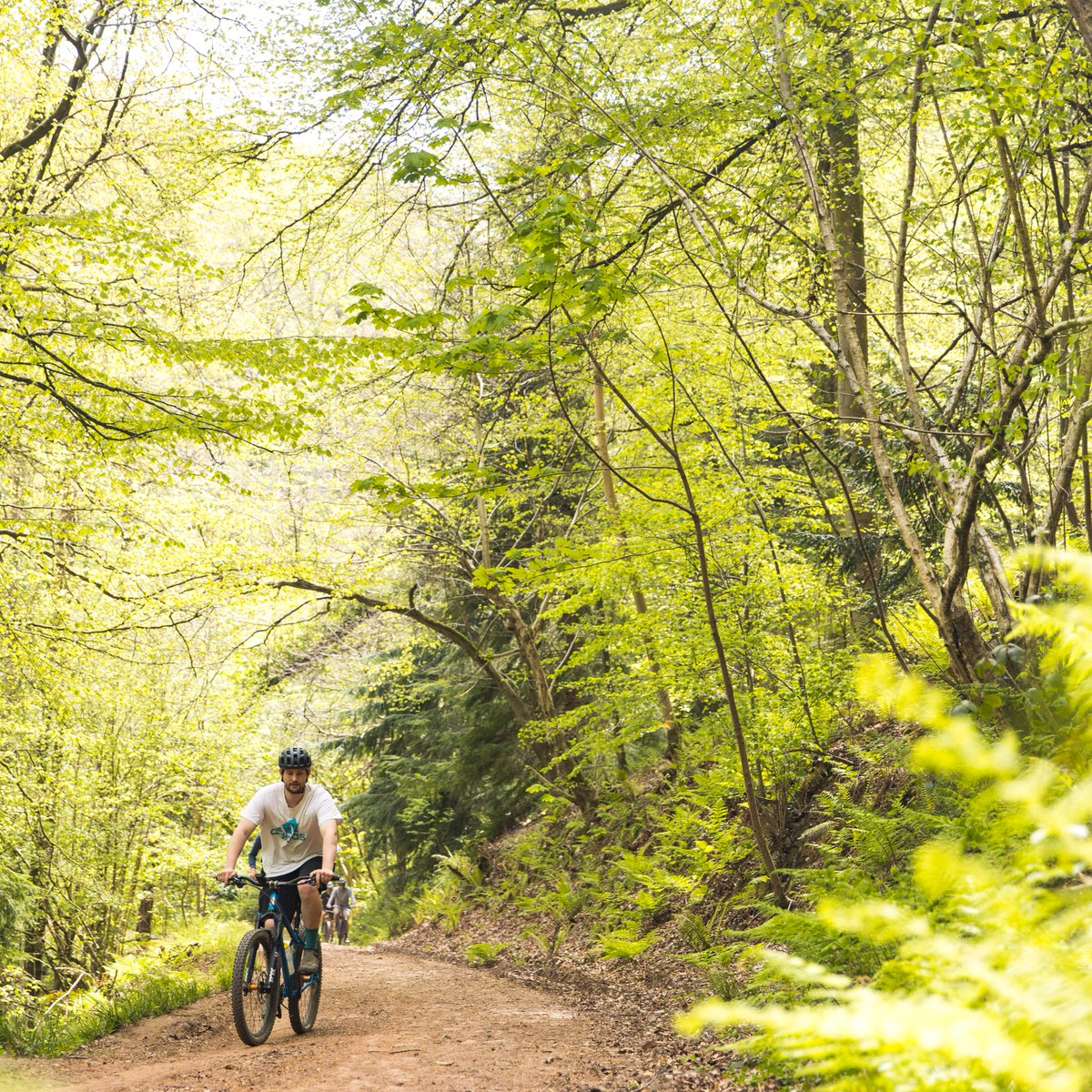 ForestryEngland's tweet photo. Where will the trails take you this summer? 🗺️
We’re joining @trashfreetrails to find a #PurposefulAdventure on two wheels and leave the forest better than we found it 🌳
Plan your route 👉 https://t.co/03OvvxdT4I
📷 Sam Dugon https://t.co/xeQTM9B13n