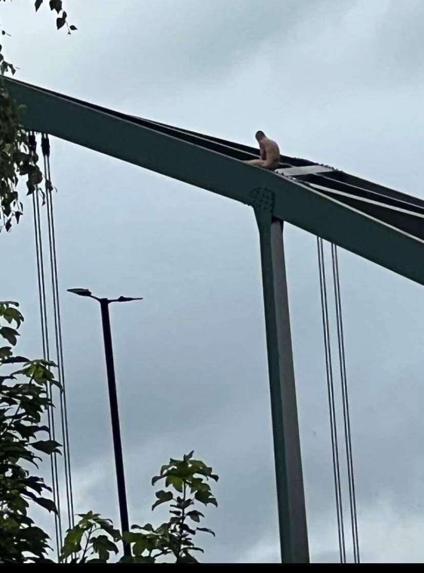 jelv1n's tweet photo. Nice day for a naked sit on Scotswood Bridge https://t.co/DcIWBls5Ba