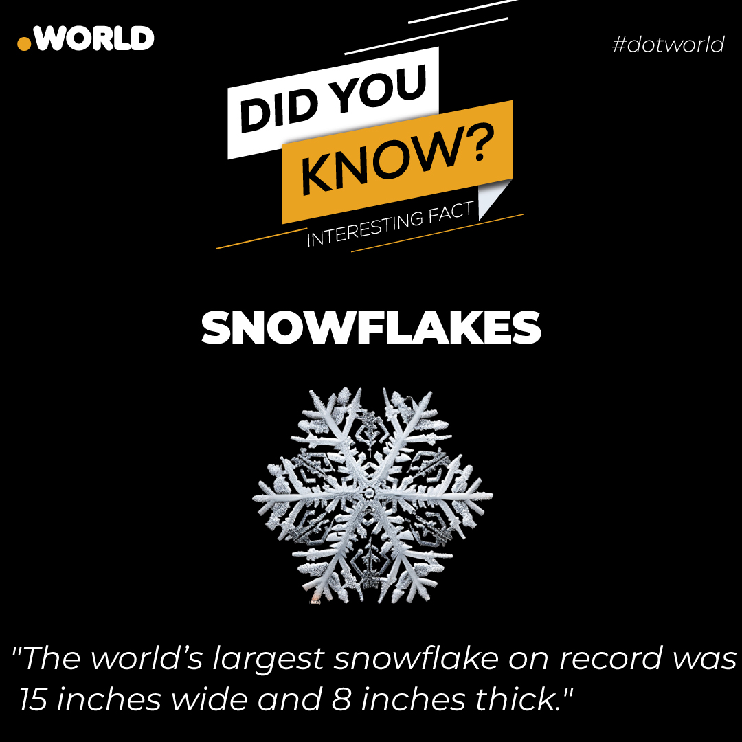 dotworldfacts's tweet photo. The world's largest snowflake on record measured an astonishing 15 inches in width and 8 inches in thickness, a majestic crystalline masterpiece defying nature's delicate beauty.
#interestingfacts #interesting #interestingfactsaboutworld #boycottcostacoffee #petroldieselprice https://t.co/gvqKFiYDup