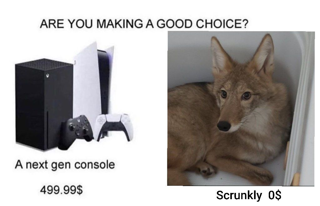 WARD YOTE tweet media