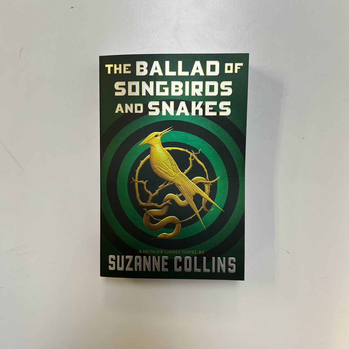 WordStreetBooks's tweet photo. New releases today include three YA novels and picture book! Plus a new fiction book by @erindionne ! https://t.co/Tqbs1A75aD