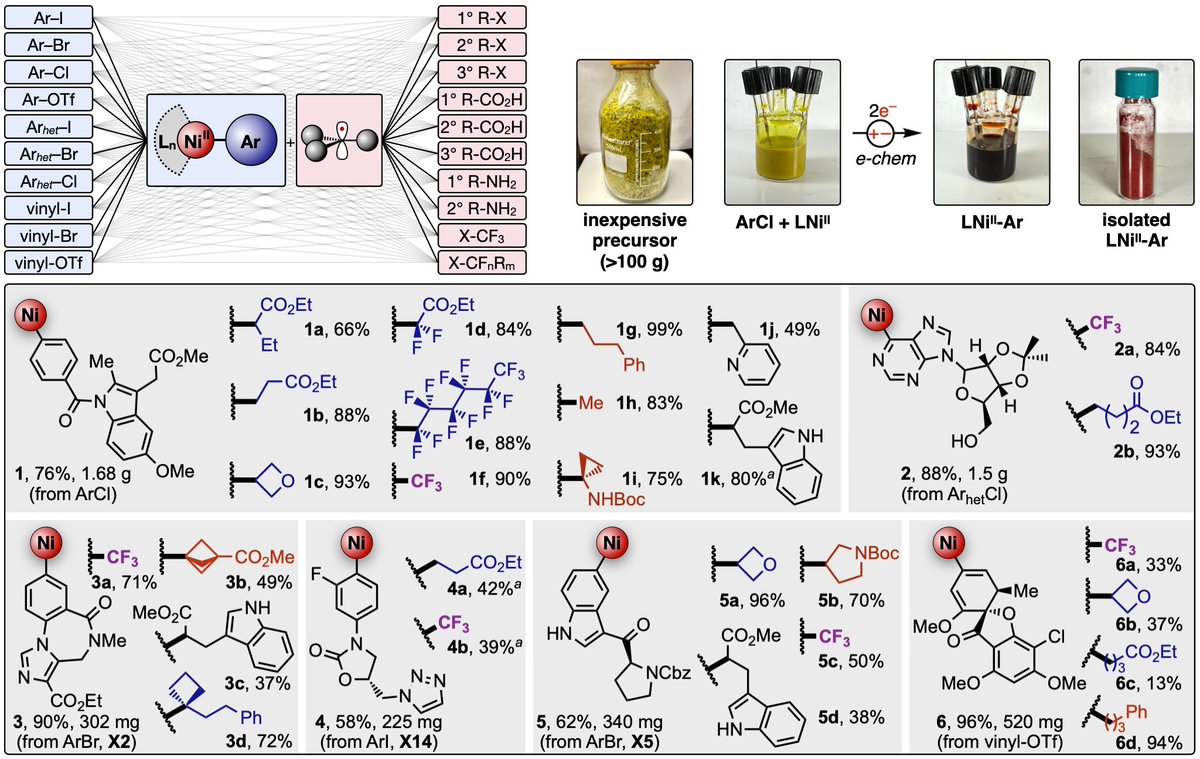 We're excited to share results from a very fun collaboration with <a href="/DipaKalyani1/">Dipa Kalyani</a> and <a href="/Merck/">Merck</a> available now on <a href="/ChemRxiv/">ChemRxiv</a>. See our mild echem procedure for [fluoro]alkylation of Csp2 electrophiles – like Grignard reagents but for radical couplings! tinyurl.com/2y8rcujc