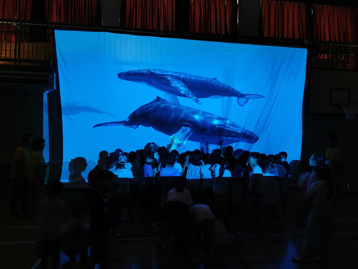 LightAnimal tweet picture