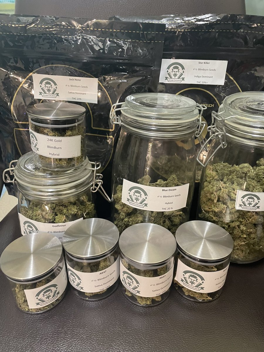 ACalifak's tweet photo. หลัก 10 เท่านั้นนนน
☘️ดอกราคา E-Web☘️ 
◦Blue Dream
◦Blue OG
◦Star Killer
◦24K
◦AK47
◦Jack Herer

#กัญชาog #กัญชากรุงเทพ #กัญชาลาดพร้าว #กัญชารังสิต #กัญชาส่งจริง  #กัญชาเสรี #กัญชารังสิต  #กัญชา https://t.co/ReQdPXZauv