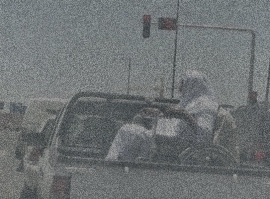 موطن القصيد tweet media