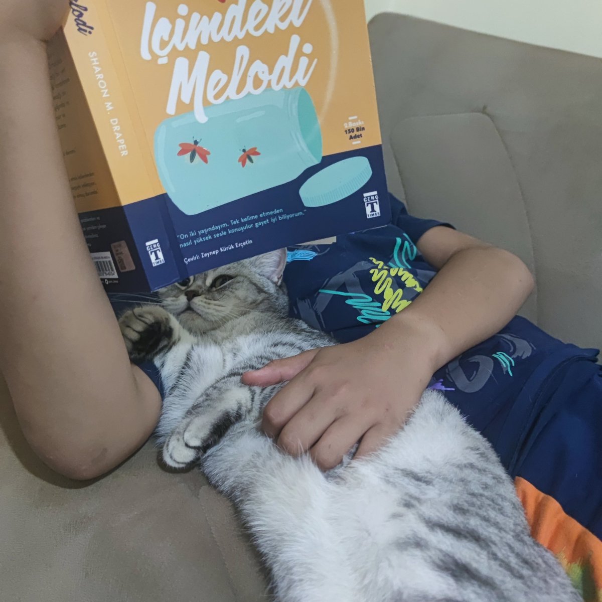 drsevketbalta's tweet image. Kedi. Bazen çok ilginç kareler veriyor. Kitap okurken!!! #Kediaupdates #f