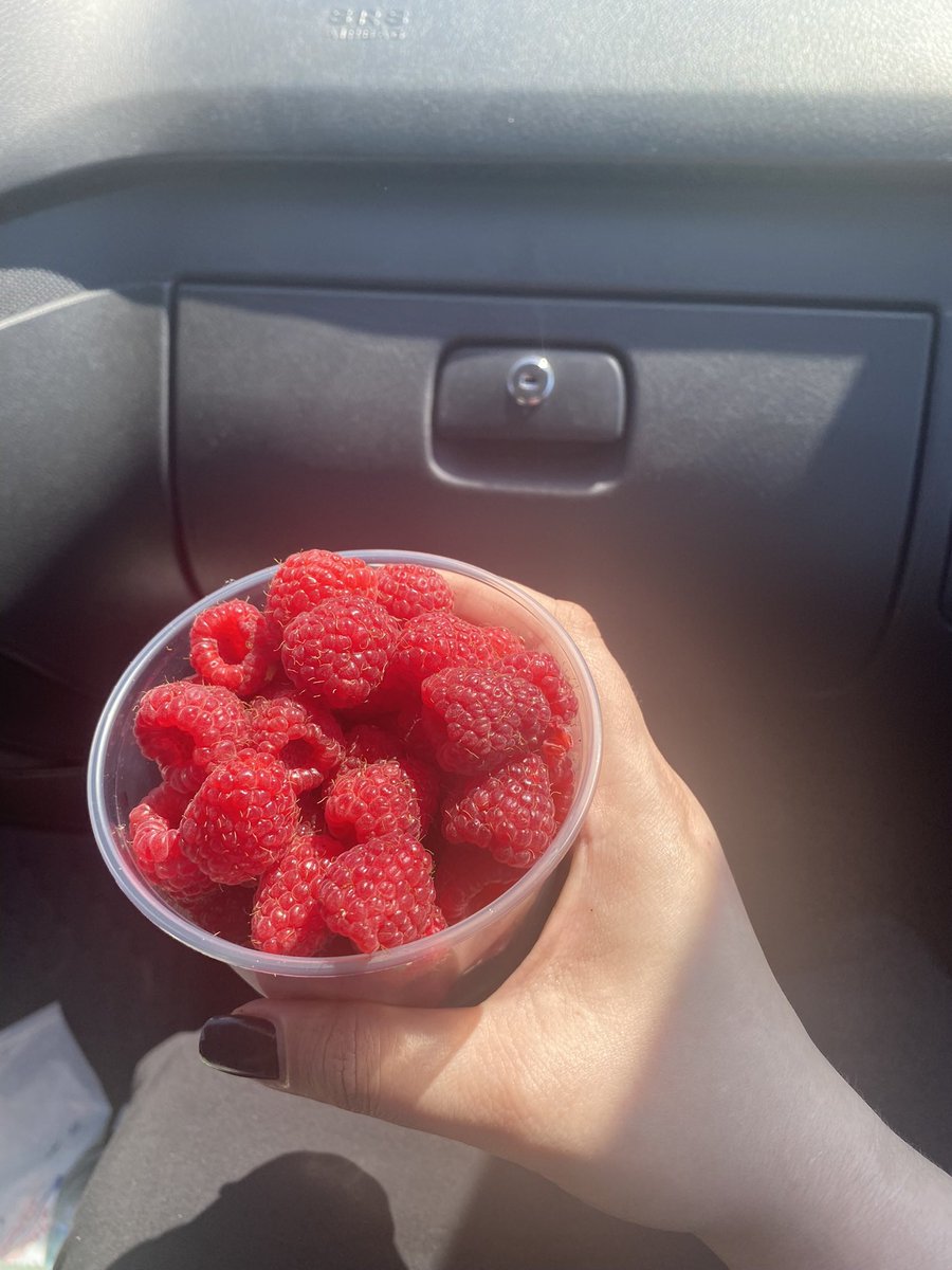 mushroomcheny's tweet photo. малина была вкусная. https://t.co/Fk9jwFbJbb
