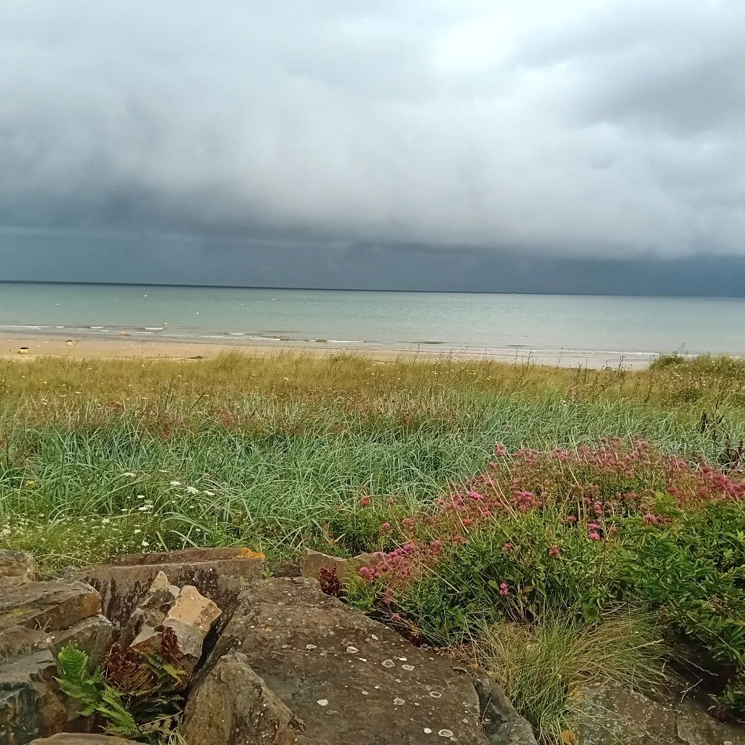 JunoBeachCentre's tweet photo. #JunoBeach #NanRed #bernieressurmer #2023 https://t.co/Oa2mPgtAEP