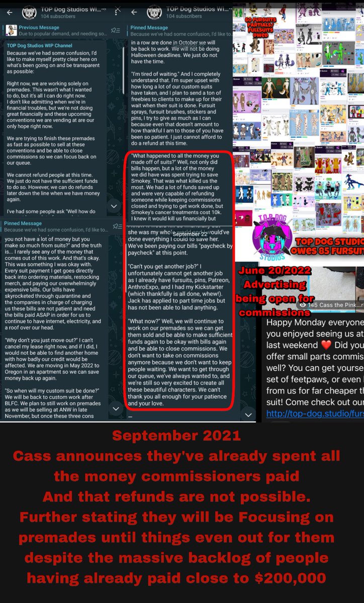 Untamed_fur's tweet photo. @simple_nicks Transparency means nothing when you self indulge personal merch/projects, attend numerous conventions to sell premades, &amp; quite literally tell people you spent all the money before you worked. No. Cass can smooth talk “transparency” w/the best of em. But is a heinous scammer ☠️ https://t.co/gSRf76XCa2