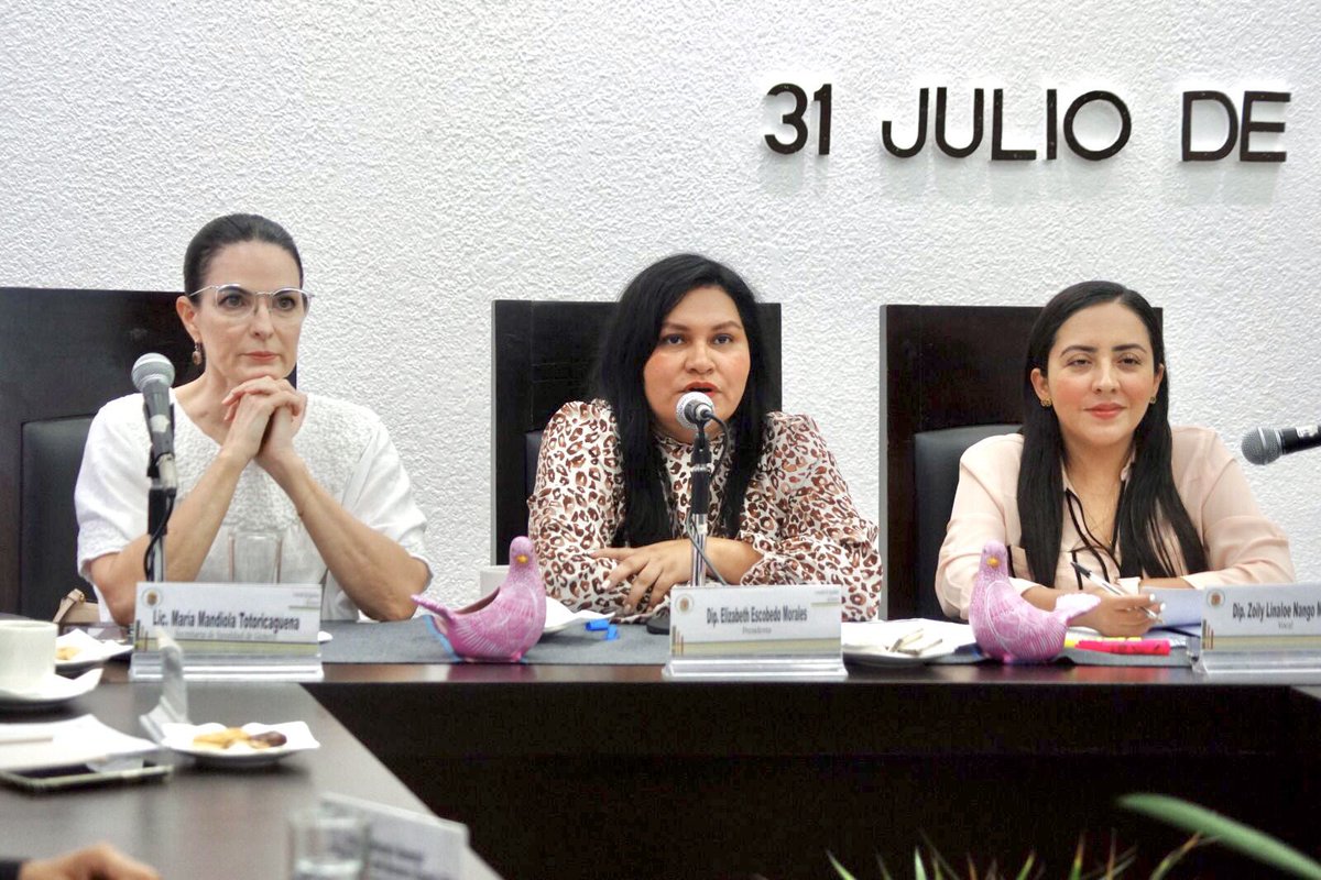 maria_mandiola's tweet photo. Vamos unidas en la protección de los derechos de las mujeres en Chiapas.
Dimos seguimiento a la labor coordinada con legisladoras e instituciones.
Con trabajo permanente, avanzamos todas.
#TransformandoJuntas https://t.co/aYhqe0mwhF