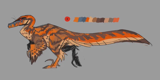 sketch design cmn