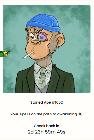 Rusty P | Ape-❌ tweet media