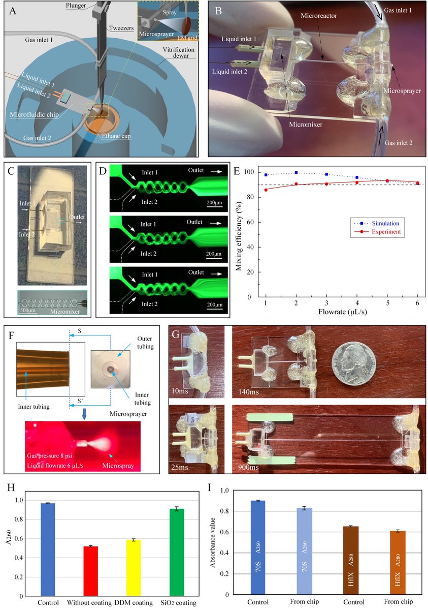 Xiangsong Feng tweet media