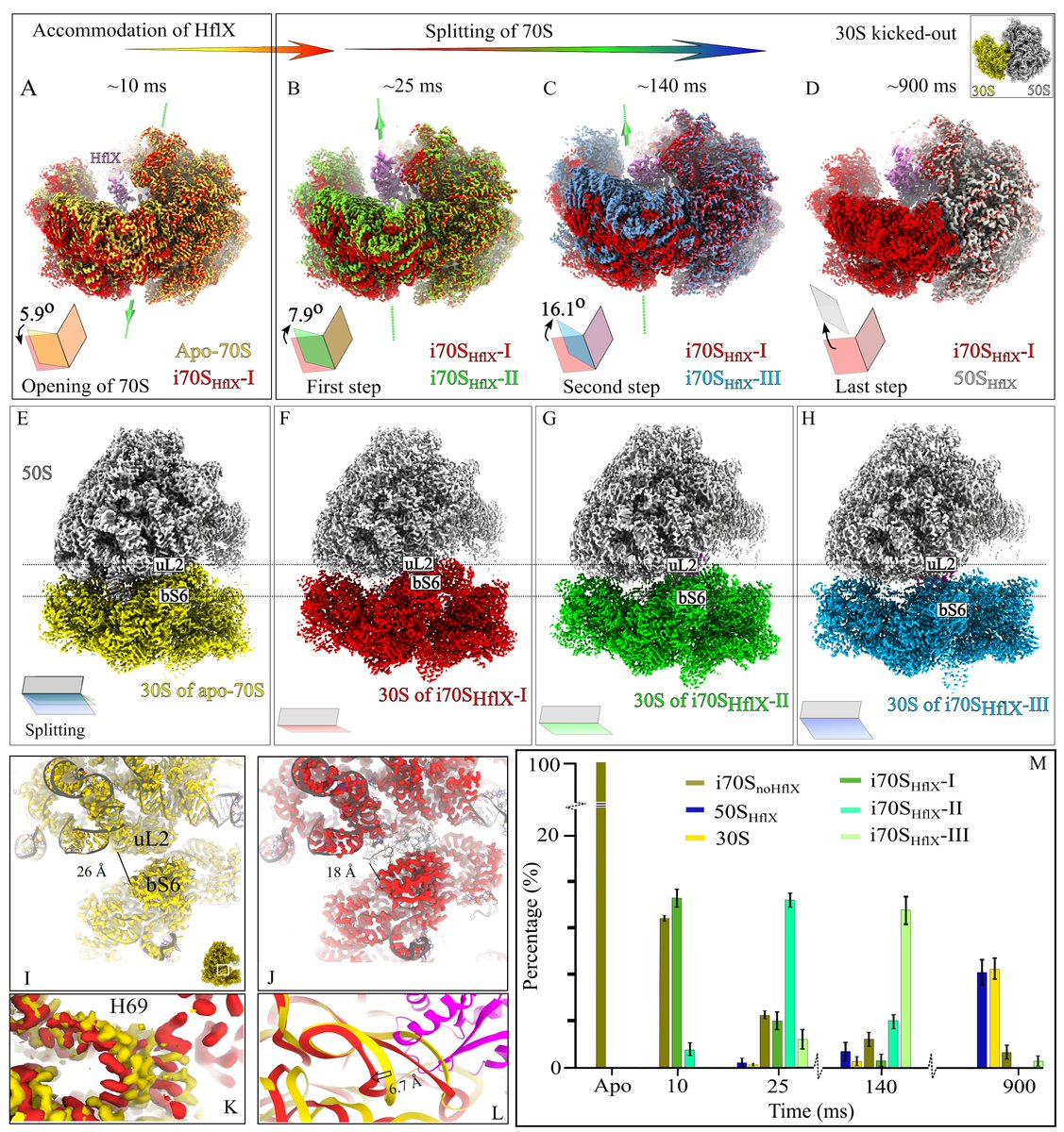 Xiangsong Feng tweet media